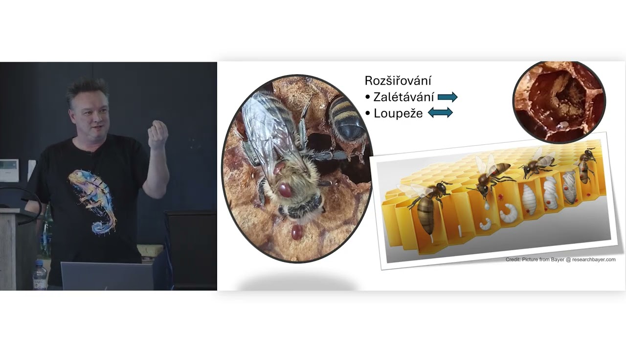 Přednáška  od Tomáše Erbana a Bruna Sopka Kolapsy včelstev – může za vše Varroa?