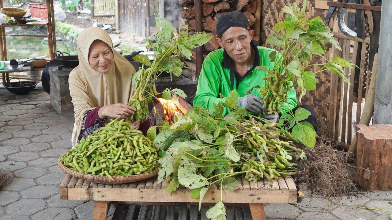 Menanam Edamame Sampai Panen | Memasak Lodeh Edamame , Peyek Kacang Ijo, Edamame Rebus, dan Sambal