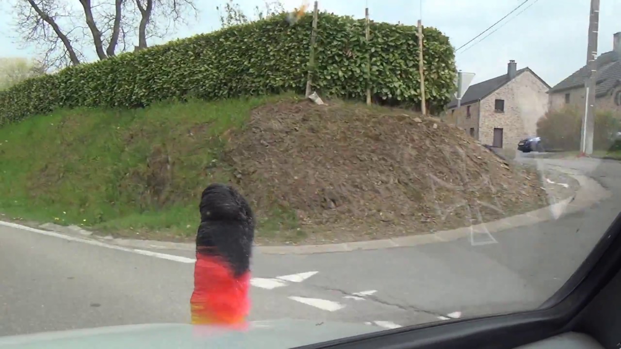 Wavreille Hamerenne Rochefort Jemelle Belgien Belgium 5.5.2017 #0320