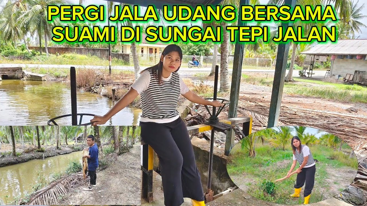 PERGI JALA UDANG BERSAMA SUAMI DAN LANJUT KE KEBUN CANGKUL AKAR POHON JERUK