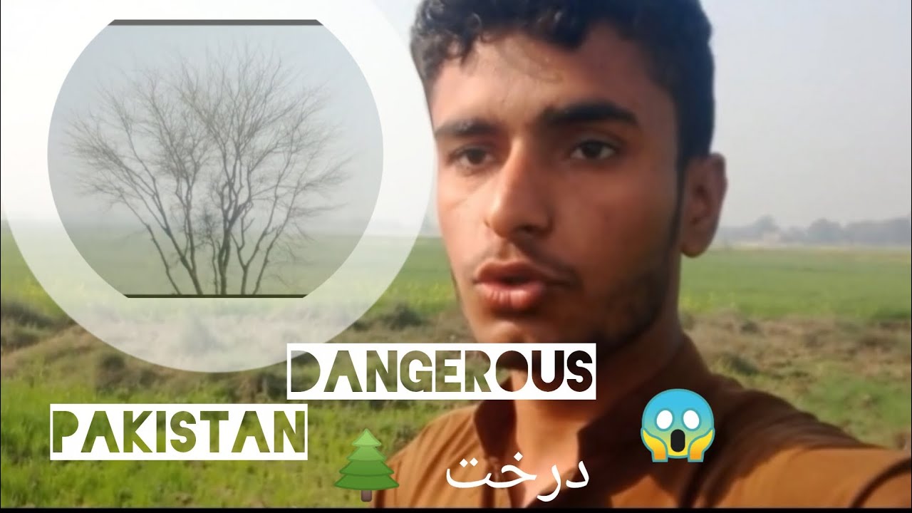 Pakistani 😱reaction on India latest  village 😱