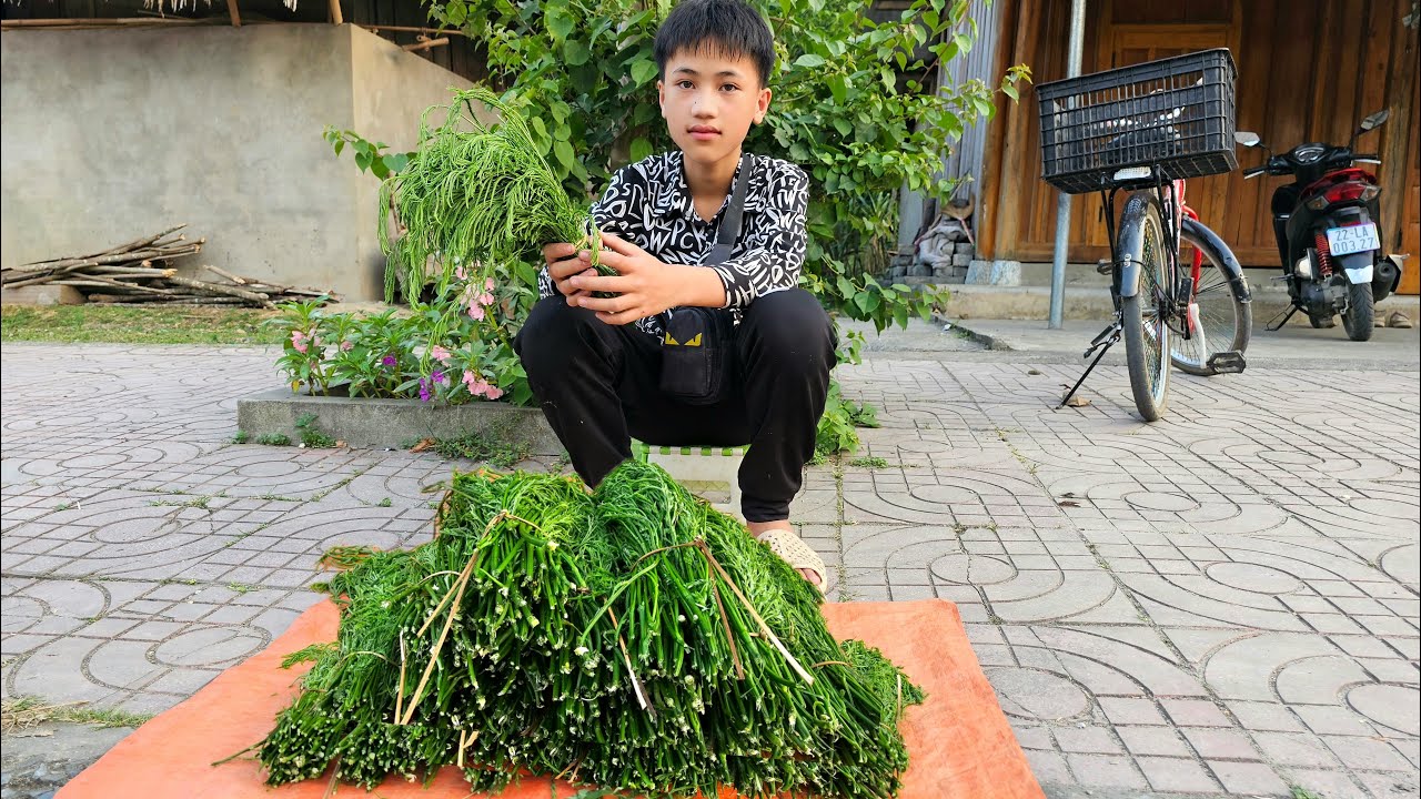 Poor boy Nam's goes to pick green vegetables to sell - Cut banana trees to feed chickens and ducks