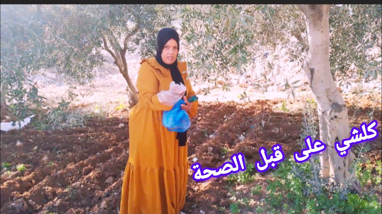 خرجت نجري 🏃نجمعها على مولانا🏃الى مشات ليك صحتك ميعقل عليك حد🤲لي سمعتها نديرها