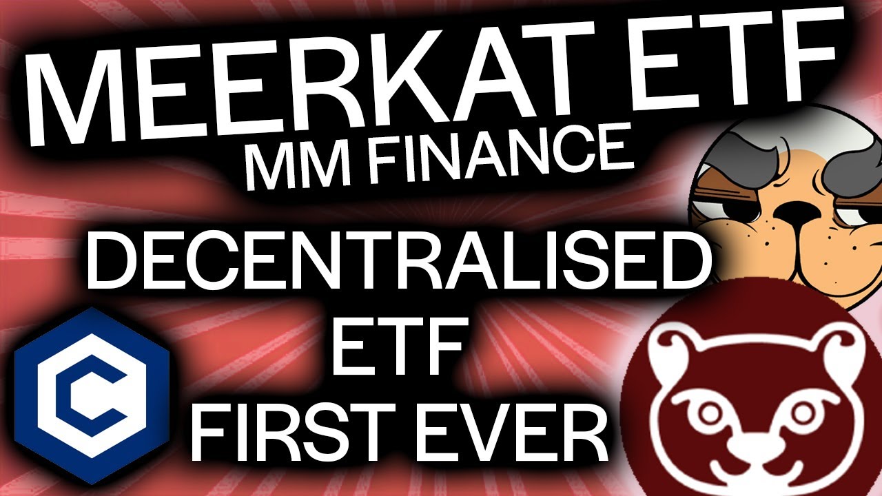 *MEERKAT ETF* - MAD MEERKAT FINANCE EXCHANGE TRADED FUND