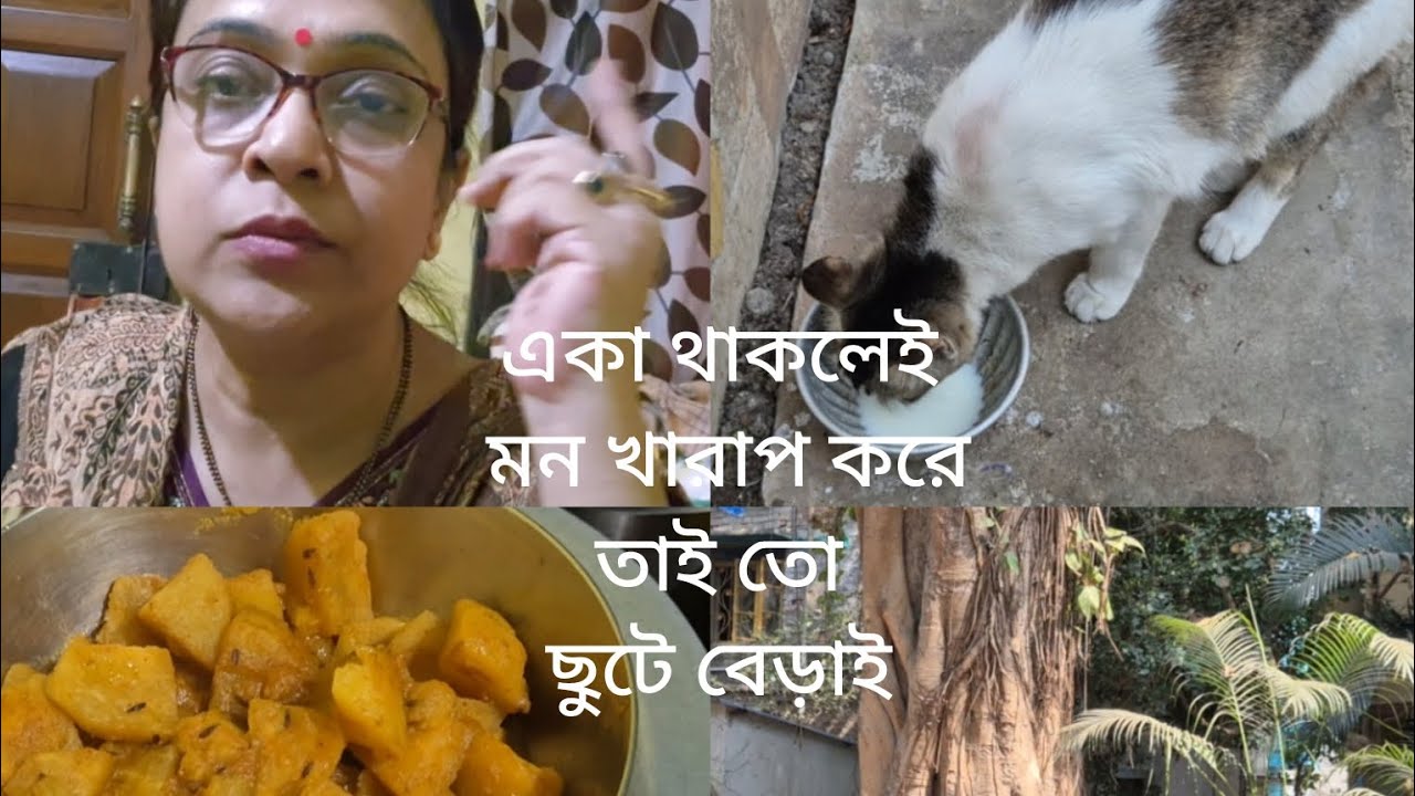 একা থাকলেই মন খারাপ করে তাই তো ছুটে বেড়াই/#Purba's Lifestyle