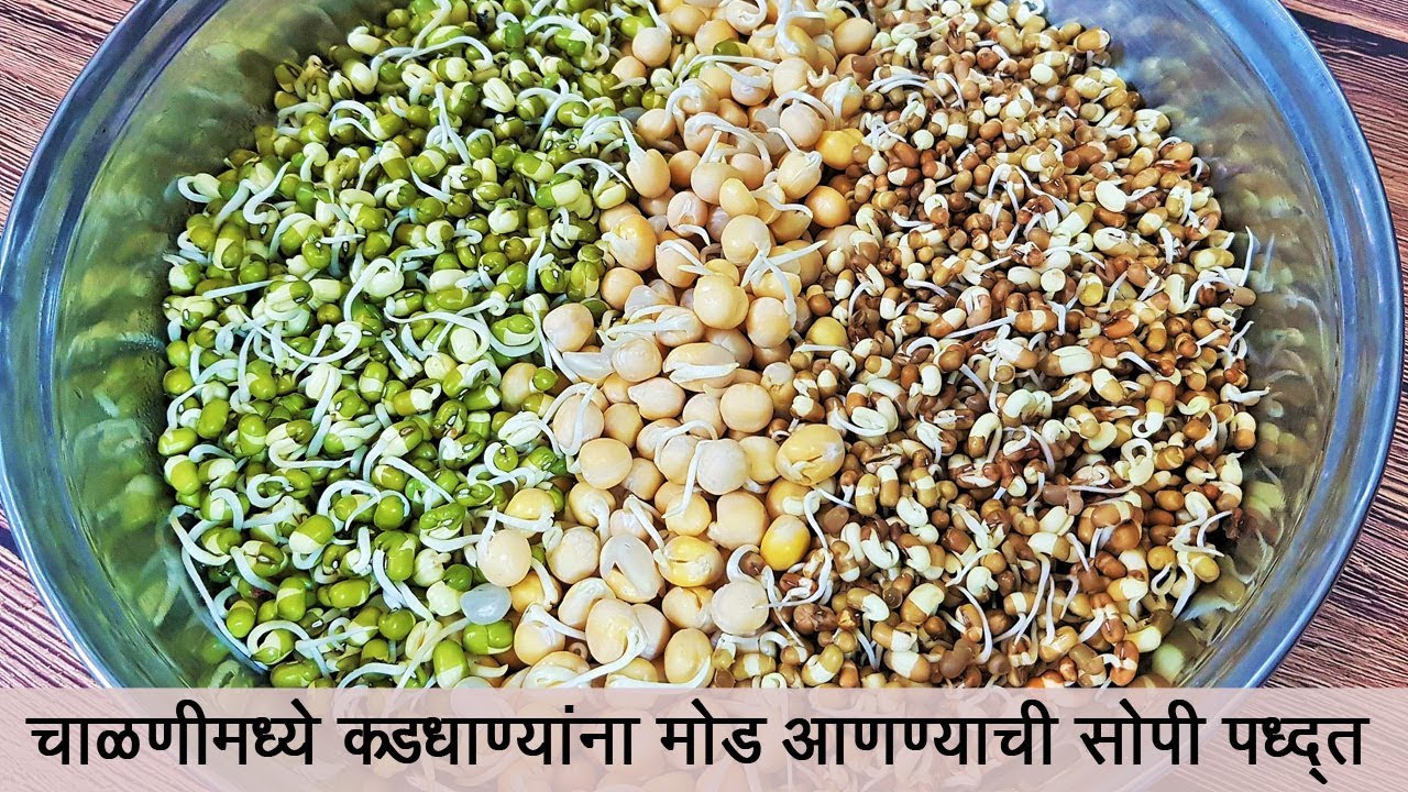 कडधान्यांना मोड आणण्याची सोप्पी पद्धत | How to sprout Beans | चिकट न होता वास न येता |MadhurasRecipe
