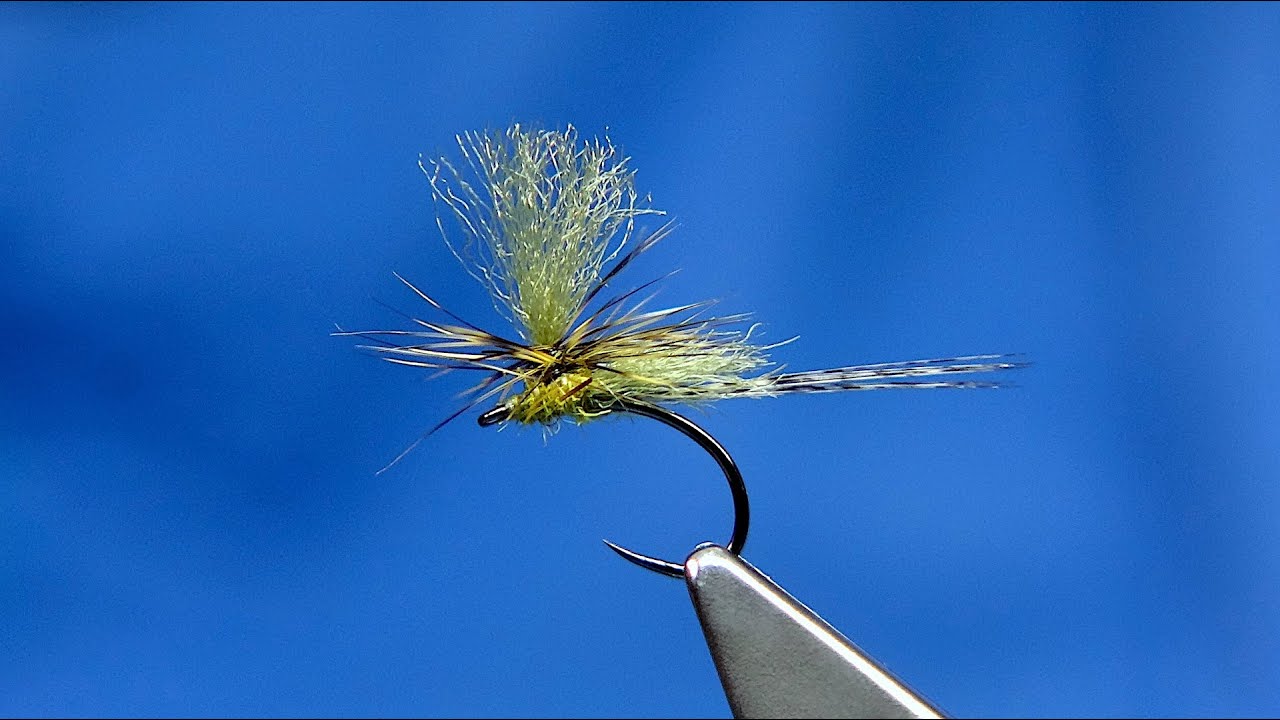 Tying a Golden Olive Dynamite Harry (Variant) with Davie McPhail