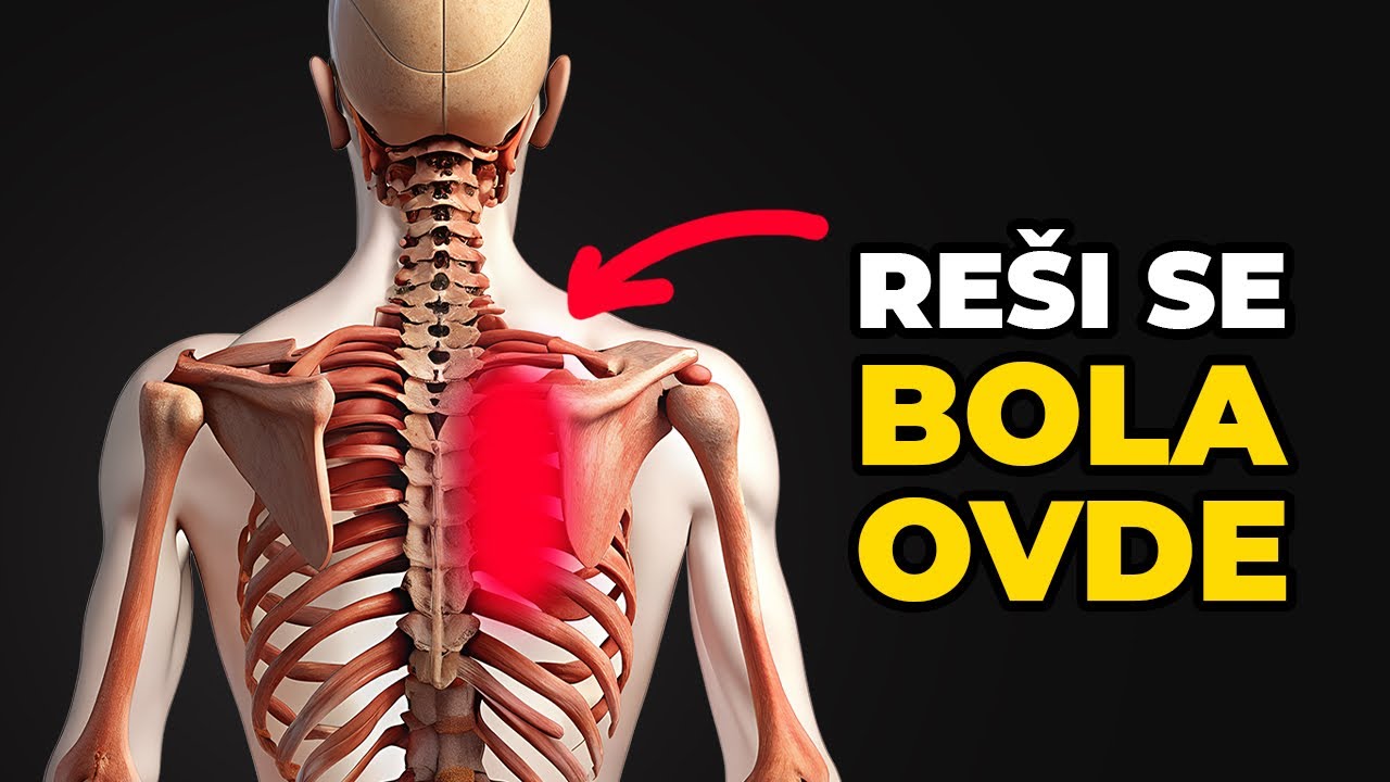Bol u lopaticama (bol u Rhomboideusu)? Evo kako da ga rešite brzo i trajno! 💪🏼💪🏼💪🏼