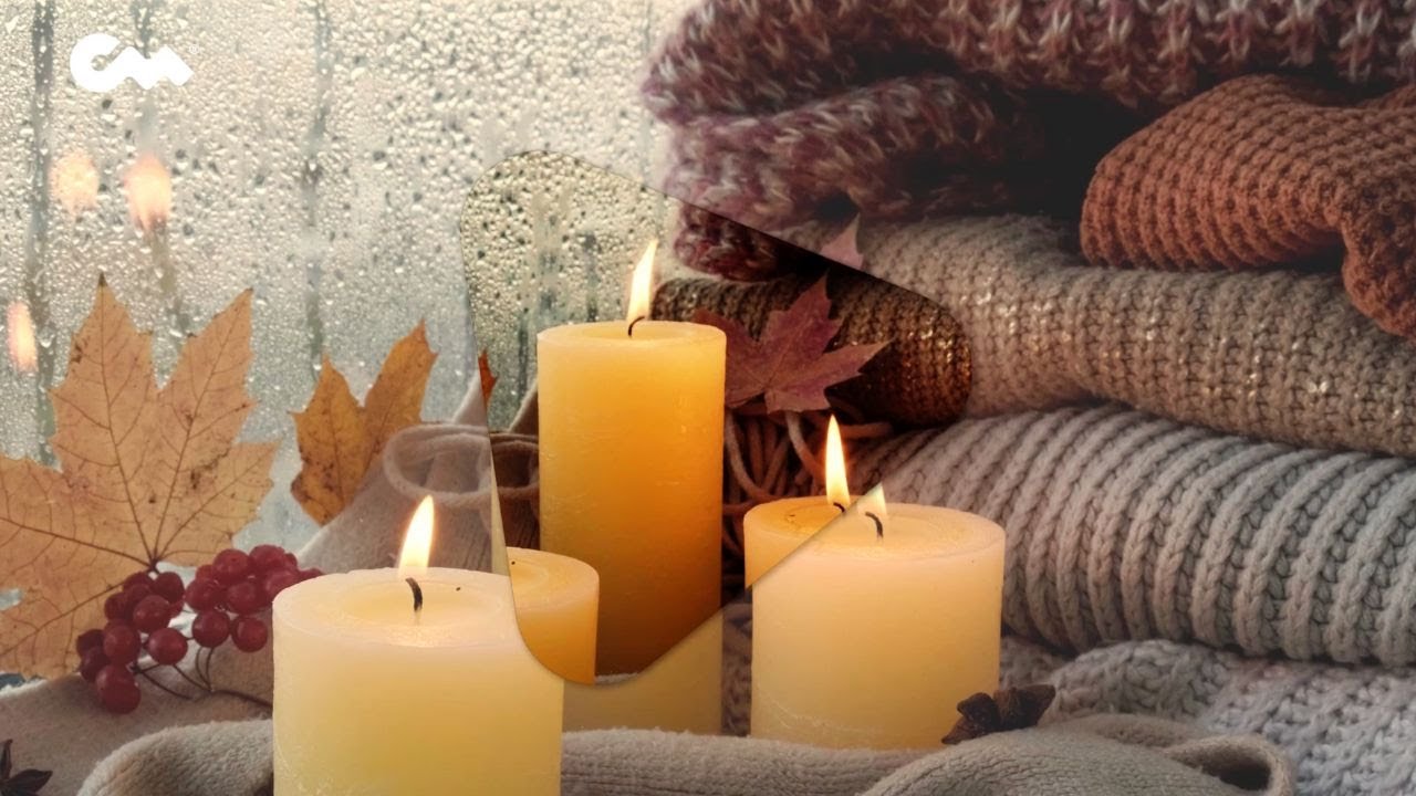 Autumn Chillhop Café 🍂 | Cozy & Urban DJ Set (Closer Music)