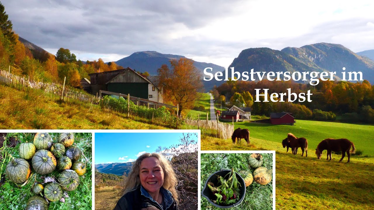 Selbstversorger im Oktober | Tägliches, langsames Leben am See in den Bergen in Norwegen 9#
