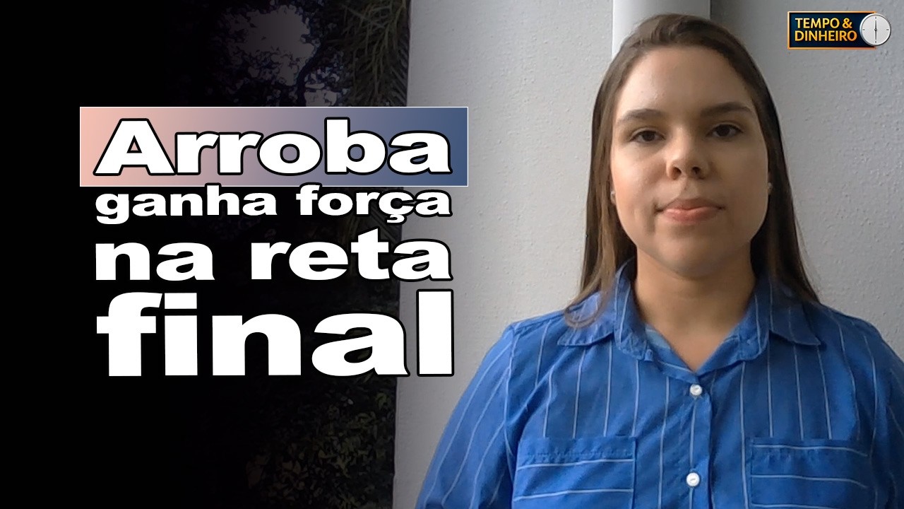 Boi gordo : mercado animado na reta final de fevereiro, comenta Isabela Zavatti, do CEPEA