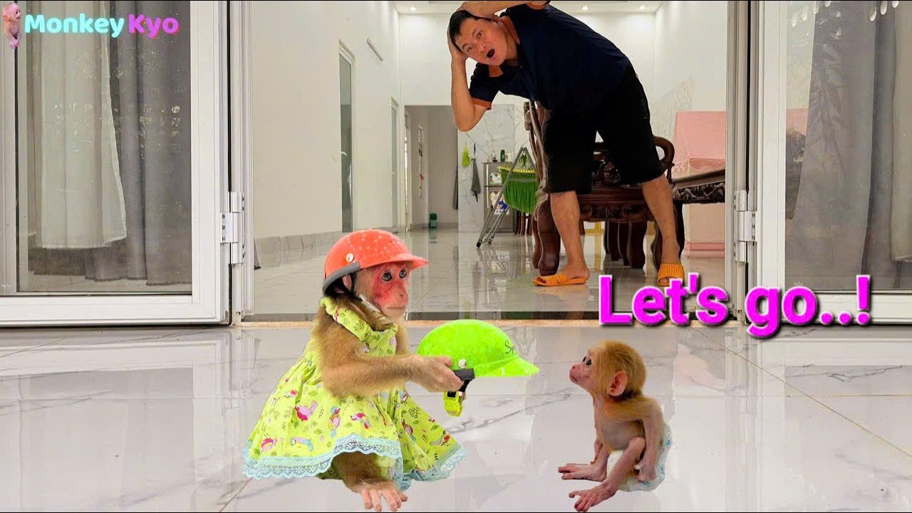So funny! Monkey Kyo prepares baby BuNa&rsquo;s cute clothes and hats to go out with Dad! 💕