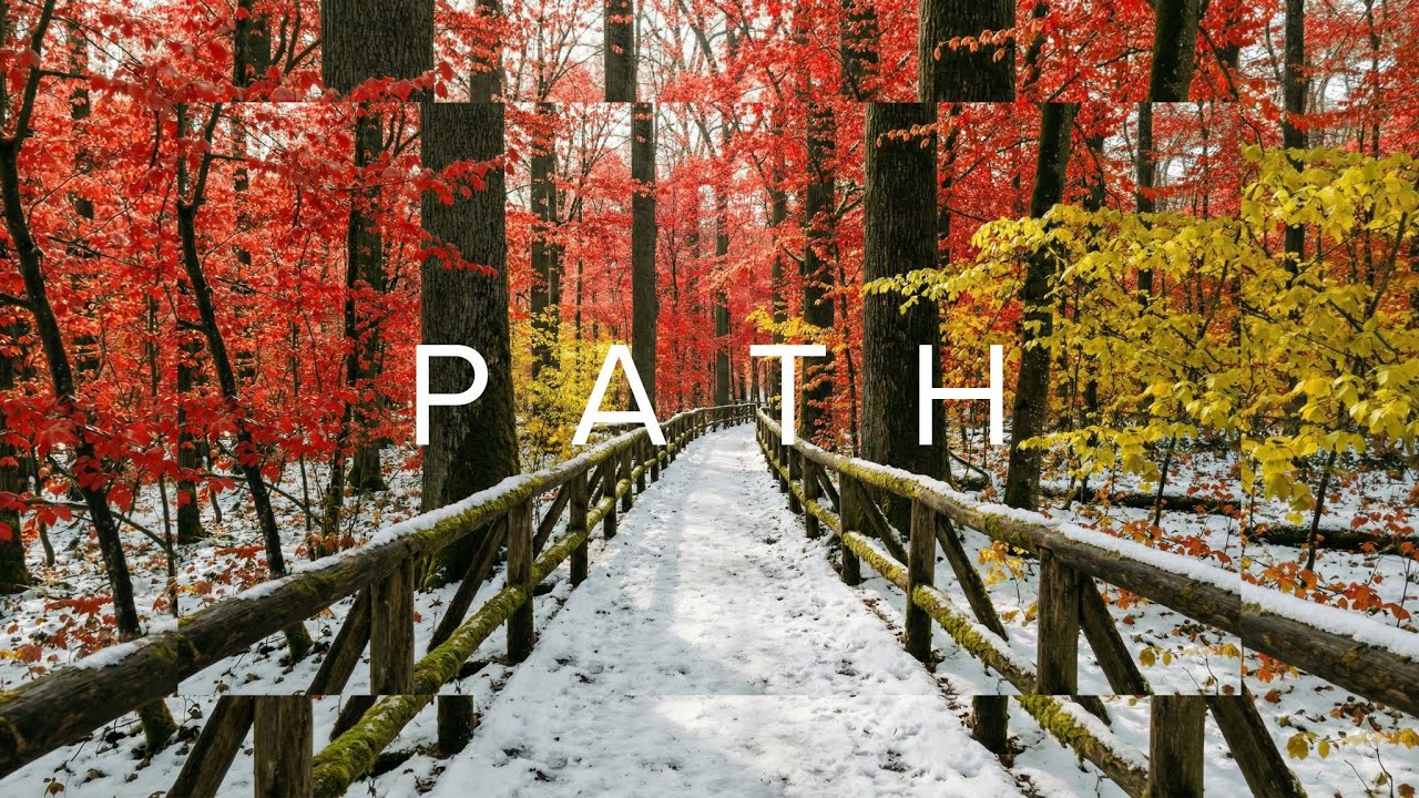 The Path – Gentle Piano Music for Peace, Meditation, Stress Relief & Deep Connection 🌿#21