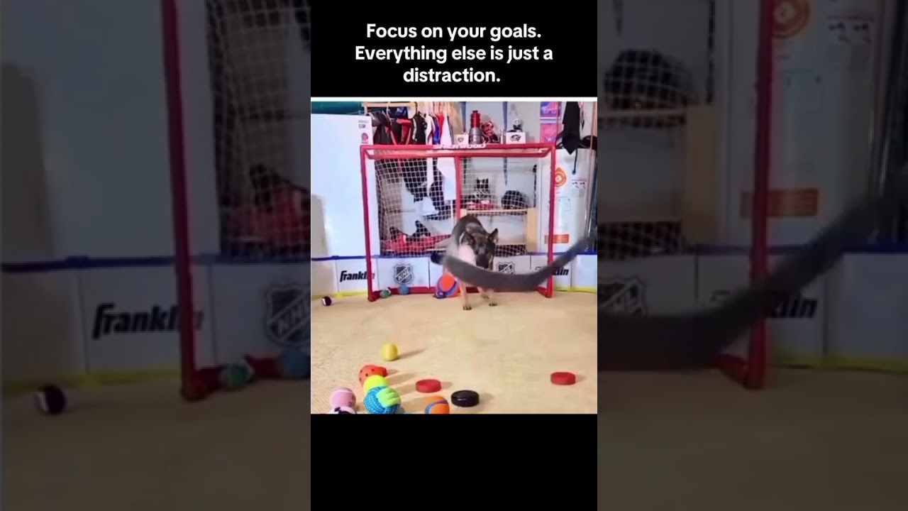 Focus on your goals. Everything else is just noise.