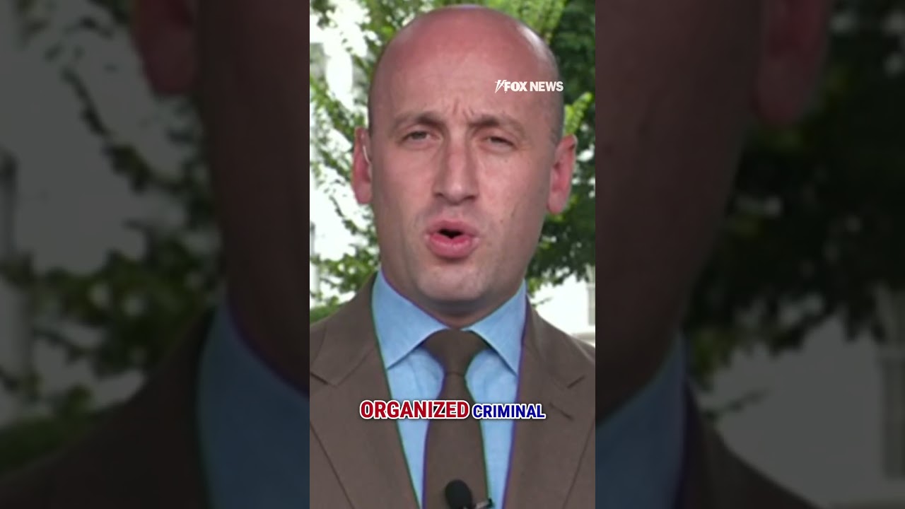 Miller: This country is facing rising 'left-wing terrorism' #left #terrorism #shorts #usa