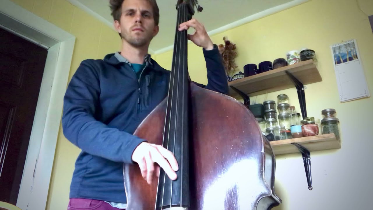 Ducks on the Millpond - Alex Lacquement 🐮🎻💙