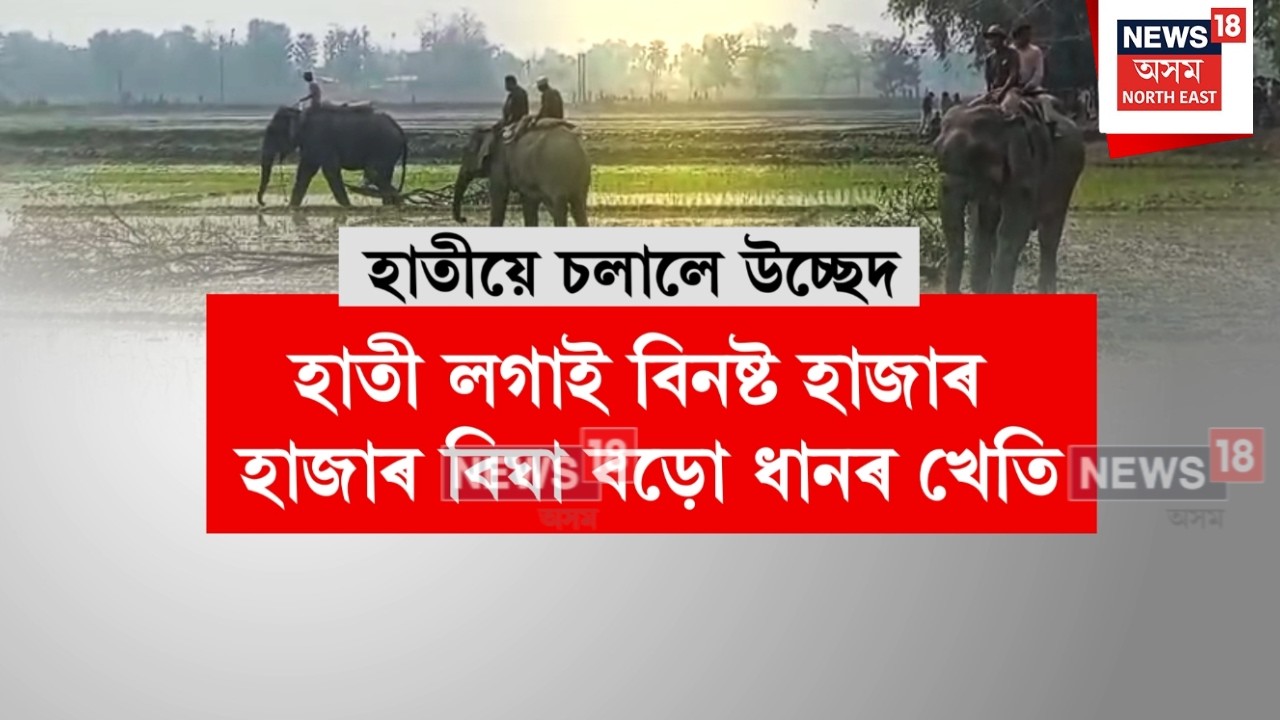Raupahihat Eviction | ৰূপহীহাটত হাজাৰ হাজাৰ বিঘা পথাৰৰ ভূমিত প্ৰশাসনৰ উচ্ছেদ অভিযান | N18V