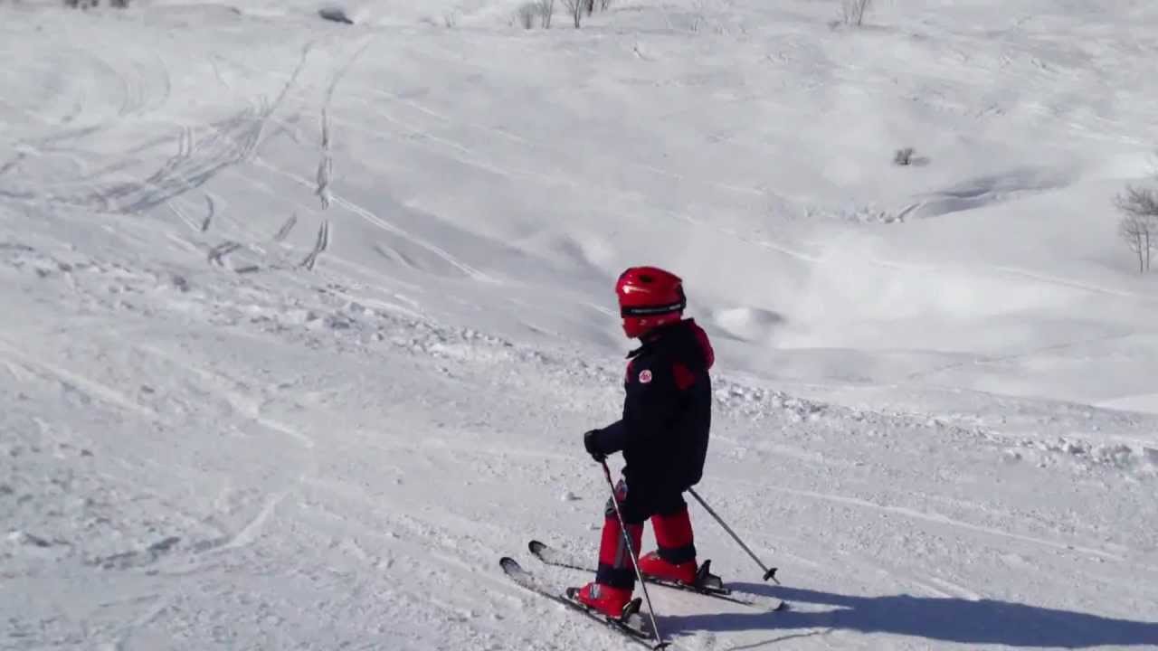 albiez montrond 2013