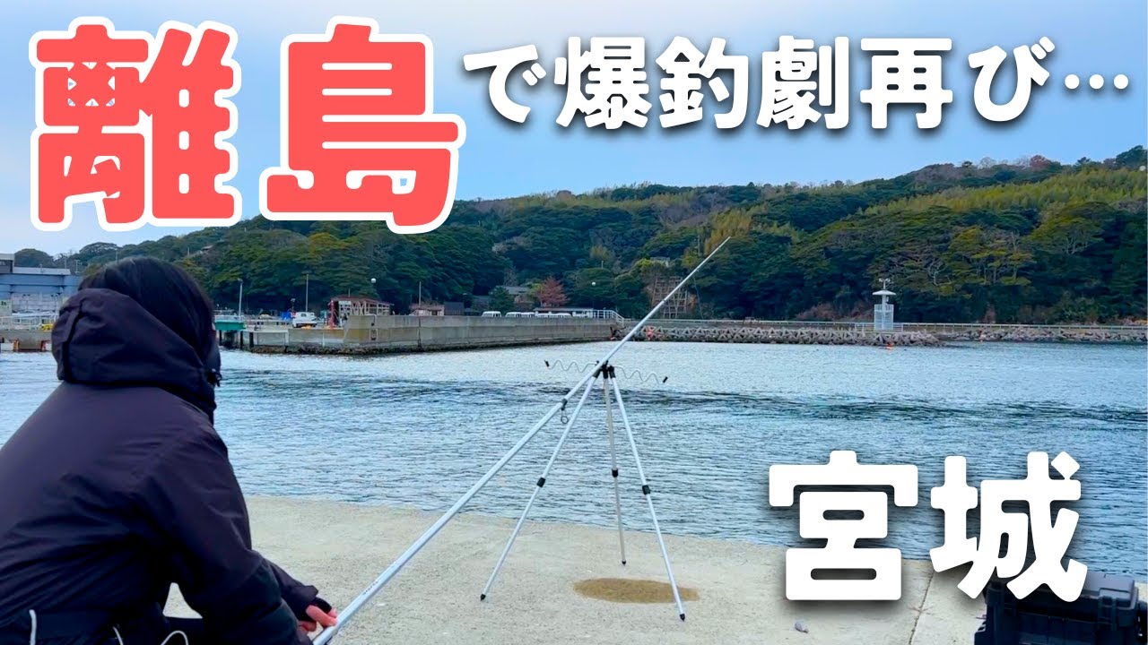 【宮城釣り】最高の好釣果！大物が次々とヒットする離島が楽しすぎた