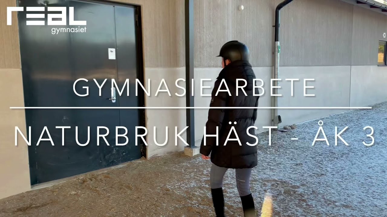 Gymnasiearbete - Naturbruksprogrammet-Hästhållning