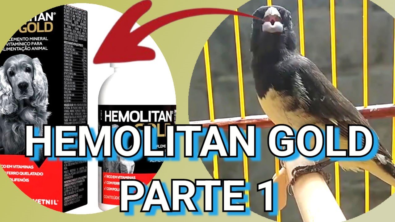 COMEÇANDO TRATAMENTO COM HEMOLITAN NA MUDA DE COLEIRO
