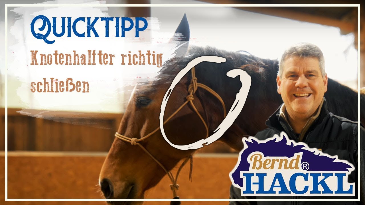 Wie mache ich das Knotenhalfter richtig zu? | HORSEMAN HACK 🐎