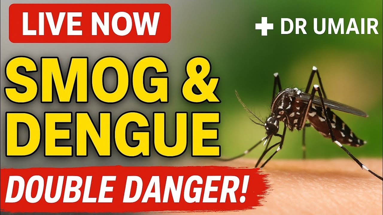 Smog & Dengue 2025 Health Alert — Aapke Bachay Kitne Safe Hain? Complete Protection Guide