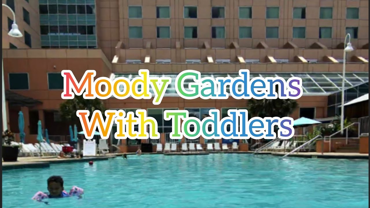 Moody Gardens Vacation 2025, Best Galveston Resort for Toddlers? See Description