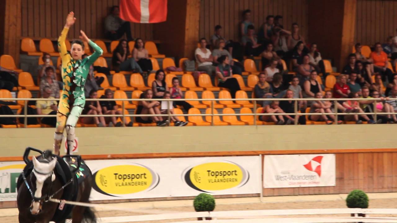 CVI Belgium 2016 - Dorian Terrier - Final Freestyle