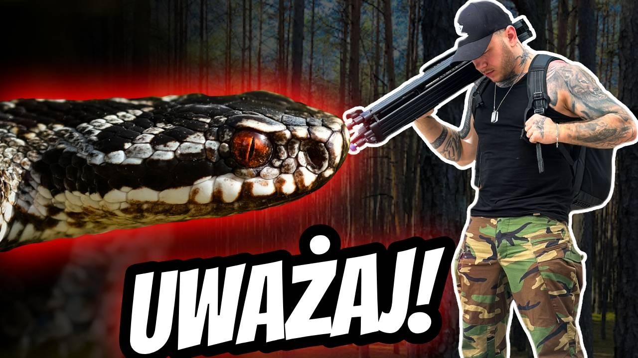 NAJWIĘKSZY POSTRACH POLAKÓW! OBUDZIŁY SIĘ!