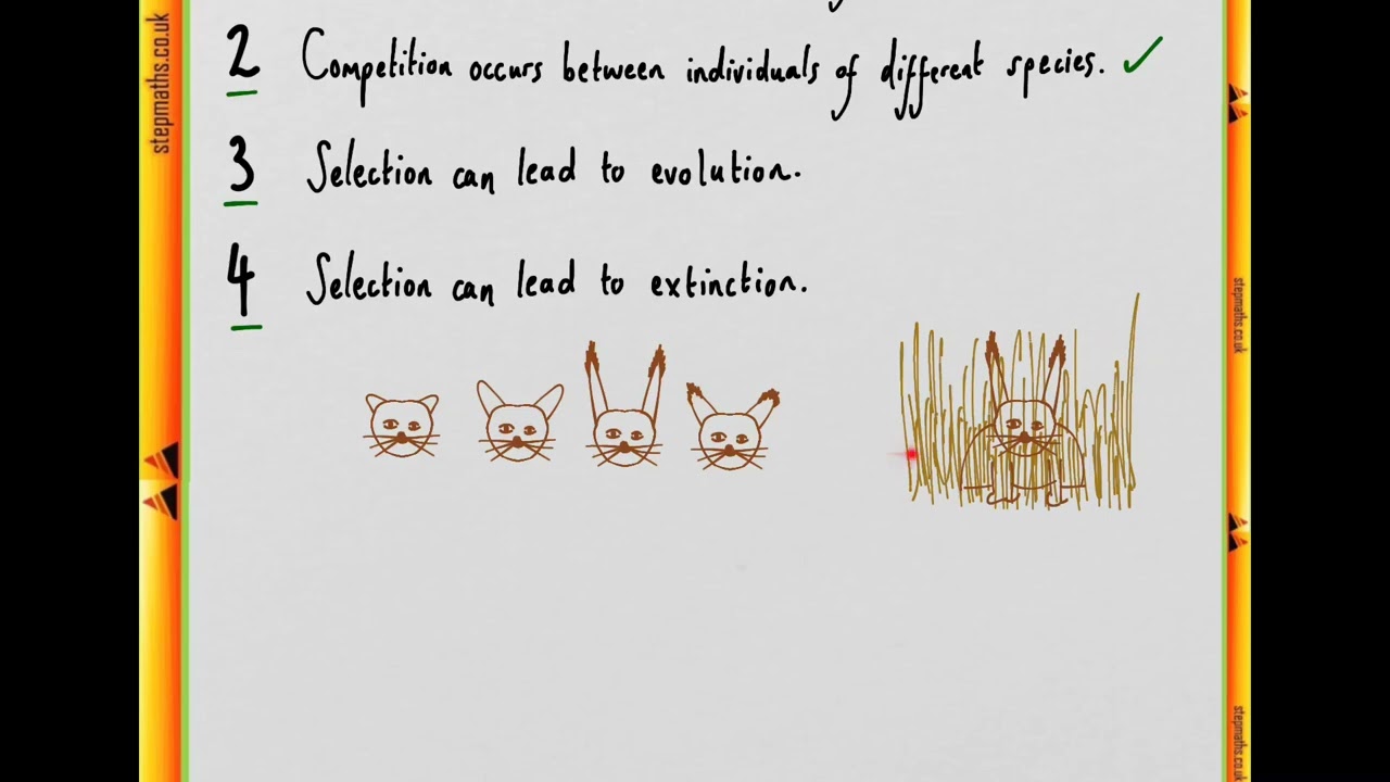 BMAT 2009 Section 2 - Q17 Bio - Natural selection - Worked Solution