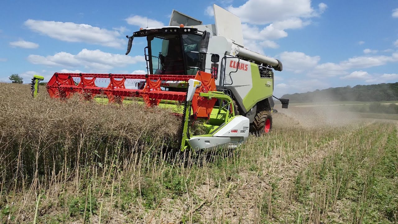 RETOUR SUR LA MOISSON ! PREMIÈRE CAMPAGNE POUR CETTE TRION 520 SUR CETTE EXPLOITATION