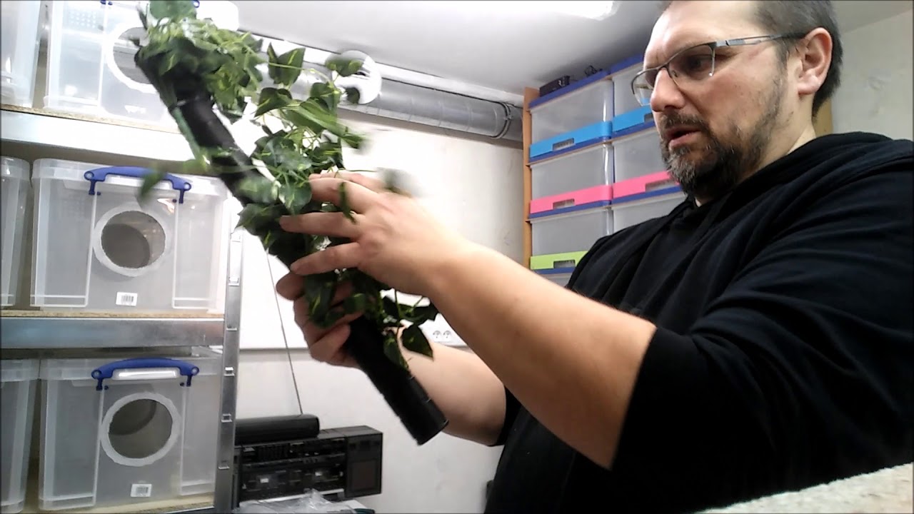 Ep. 25 - Tuto: Installation des plantes artificielles
