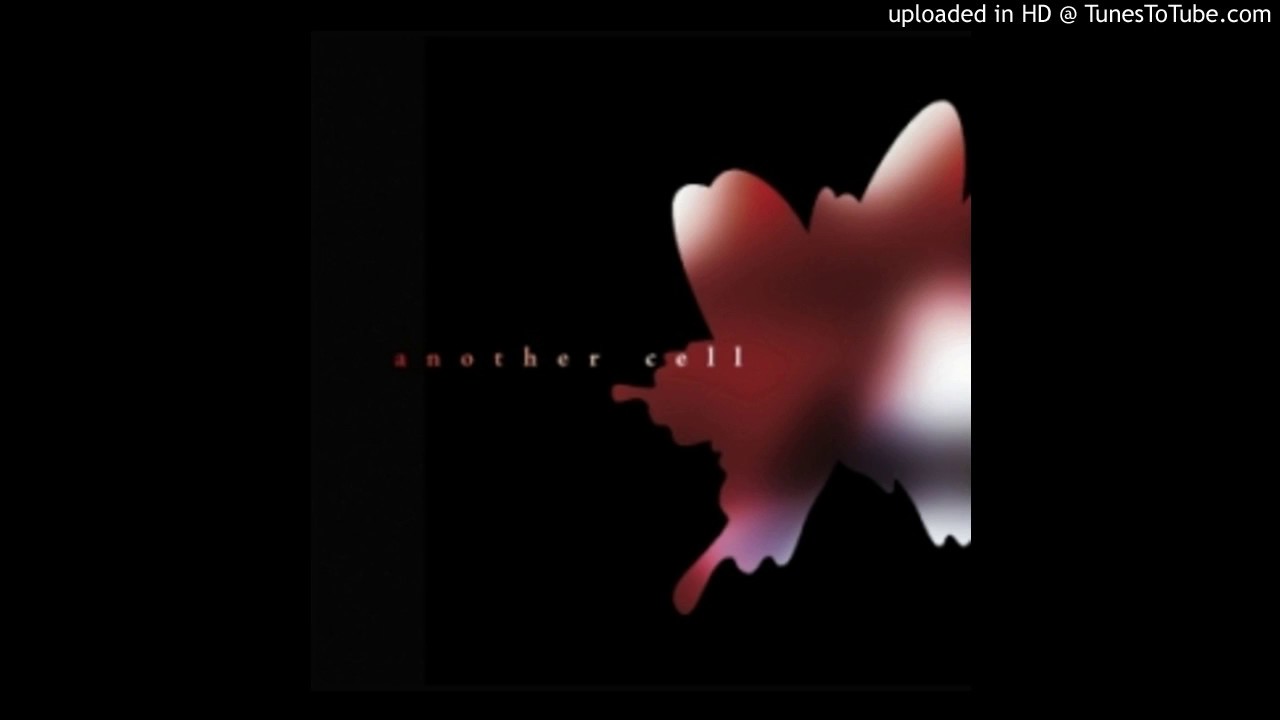 Schwarz Stein – Inner Universe -cybernated-