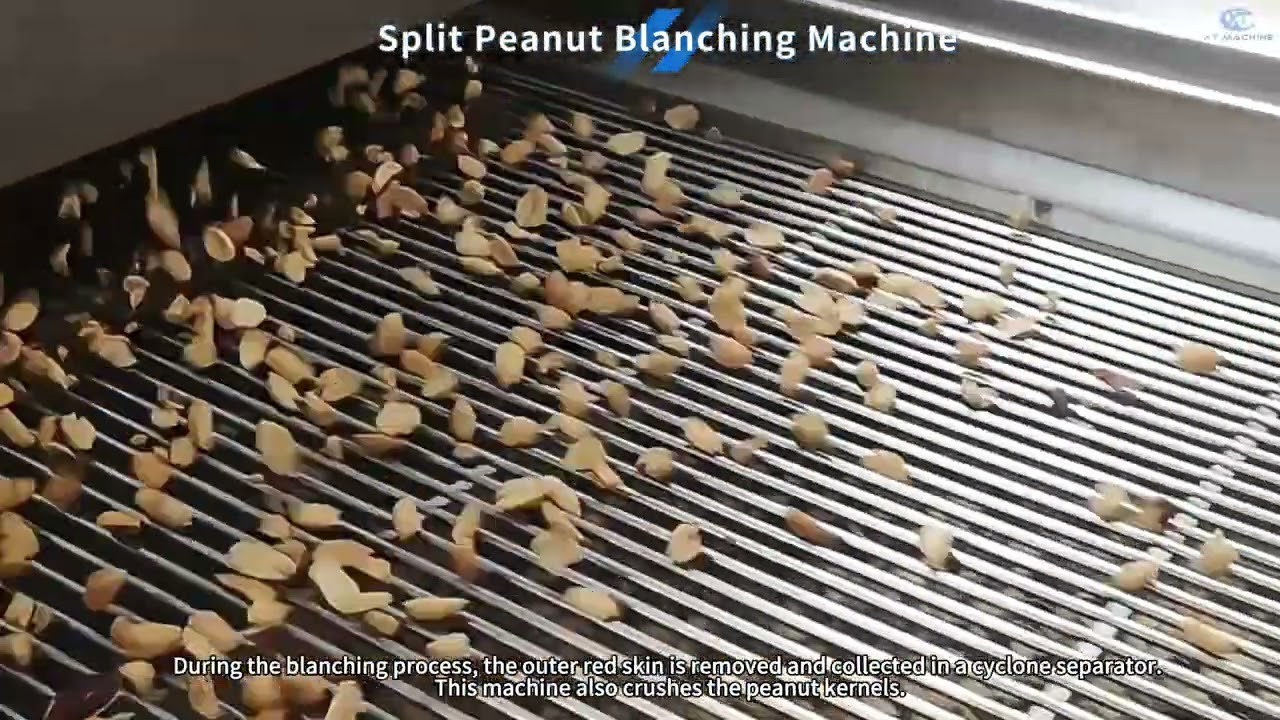 Split Peanut