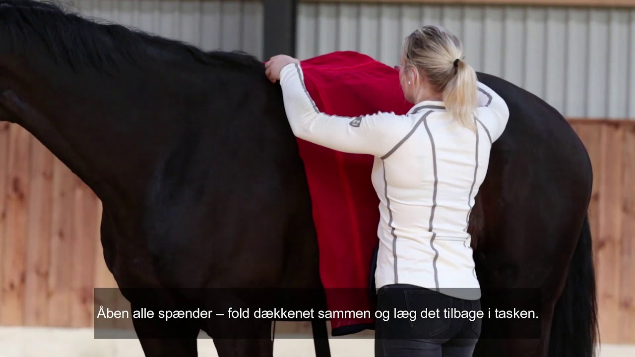 Broholm.biz forklarer, hvordan du bruger ActivoMed Massage- & Magnetiskdækken på din hest