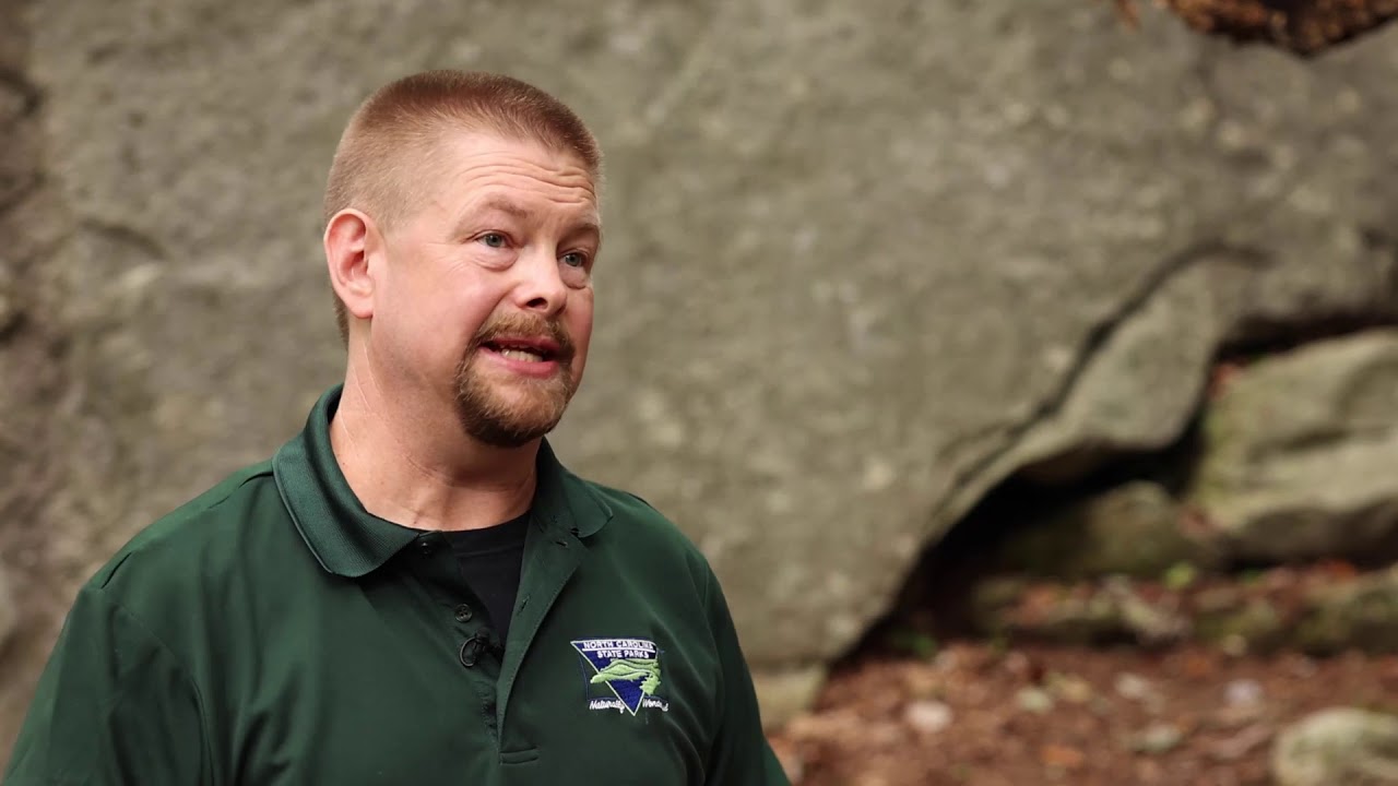 Geology of Stone Mountain