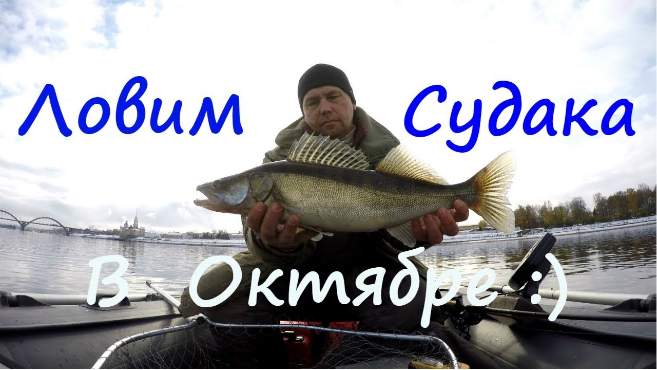 Ловим судака в Октябре