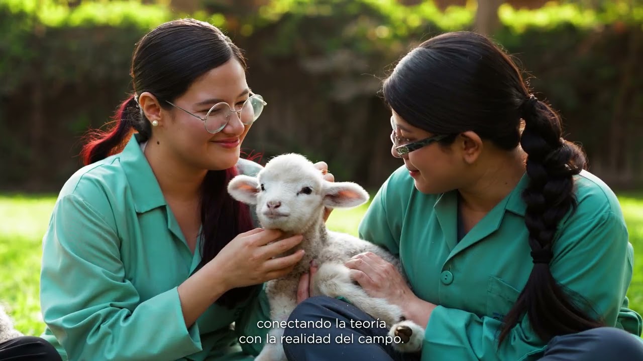 Descubre nuestra carrera de Medicina Veterinaria y Zootecnia