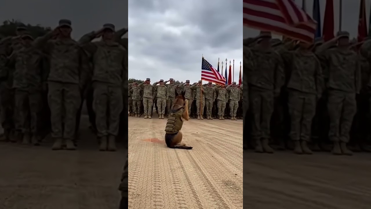 A Loyal Salute: The Bond of Bravery 🇺🇸