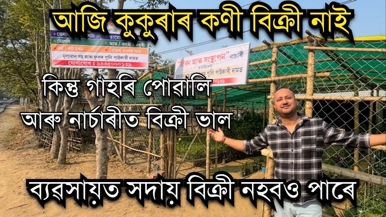 ব্যৱসায়ত সদায় বিক্ৰী নহবও পাৰে। How to start a business in Assam।Agarwood Nursery in Assam। Plants