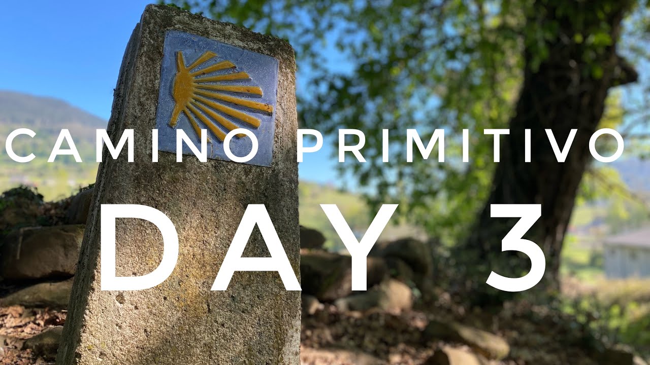 Camino Primitivo - Day 3 - Cornellana to Bodenaya