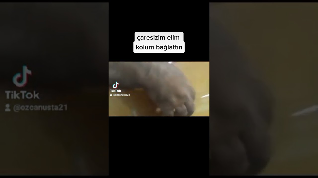 Çaresizim elim kolum bağlattın  YÜKSEK ASLAN