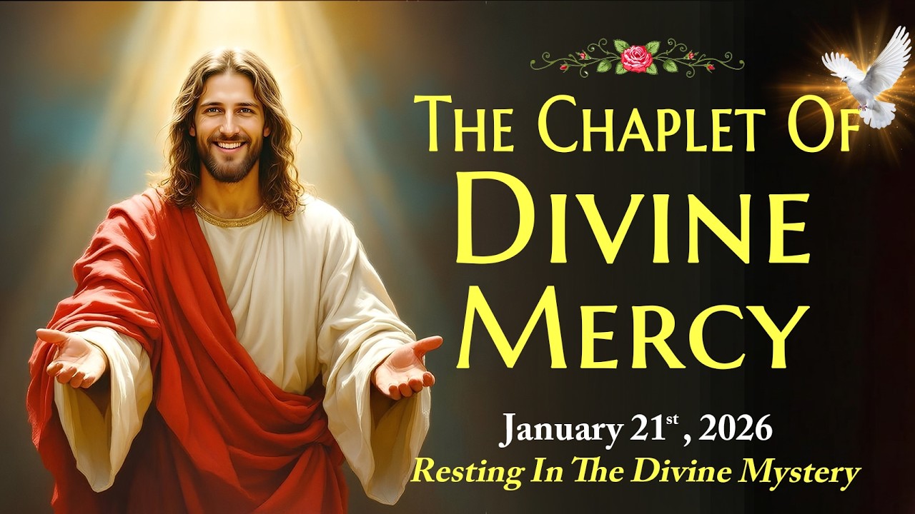 Daily Divine Mercy Chaplet | Wednesday, 21/01/2026 🙏 Resting In The Divine Mystery