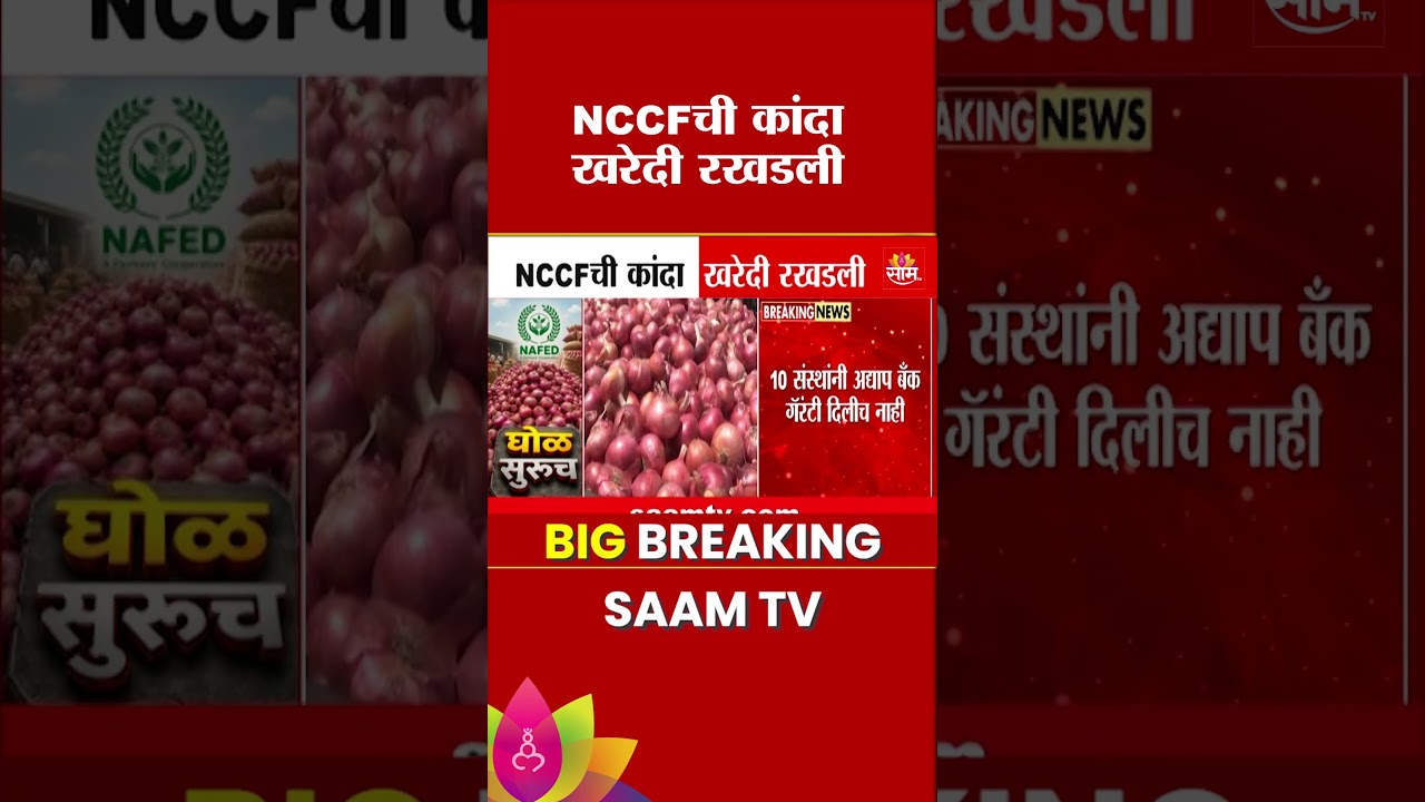 NCCFची कांदा खरेदी रखडली | NCCF Onion Procurement
