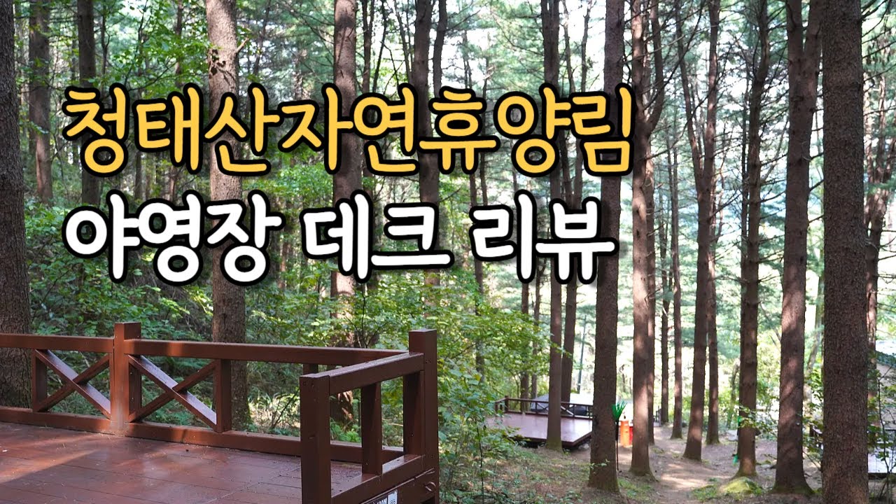 국립 청태산자연휴양림 야영장 데크 리뷰