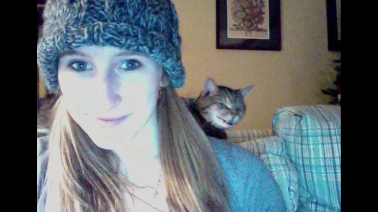 Best Cat Photobomb Pictures