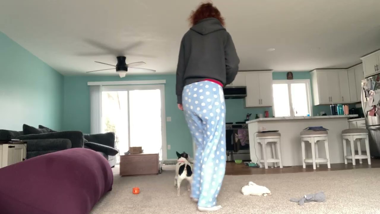 Value building circuit 3/1/26