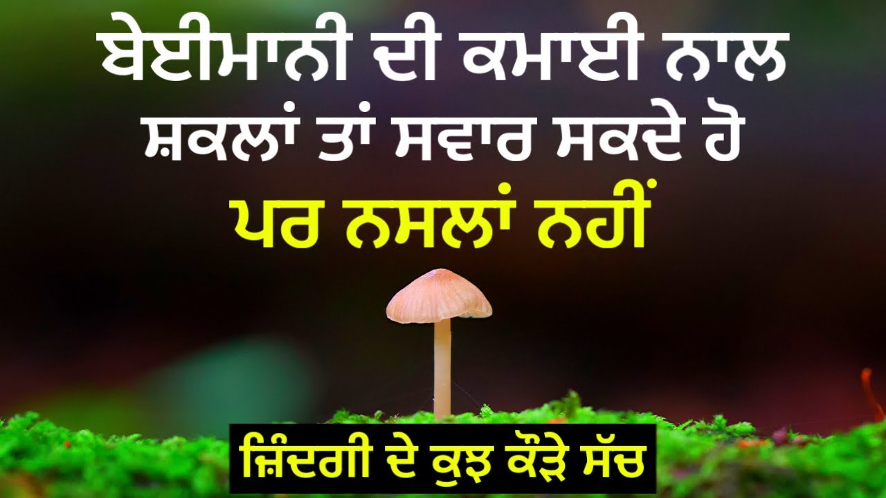 Life change motivational speech, Sachiyan Gallan; ਜ਼ਿੰਦਗੀ ਦੇ ਕੌੜੇ ਸੱਚ,Punjabi Quotes: Punjabi Alfaaz