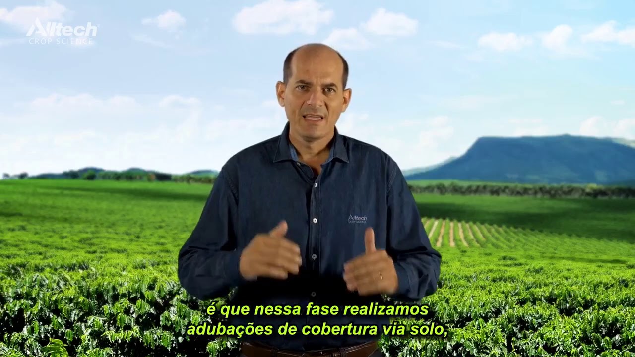 Caf&eacute; - Fase de Florescimento